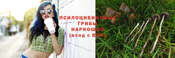 спайс Балахна