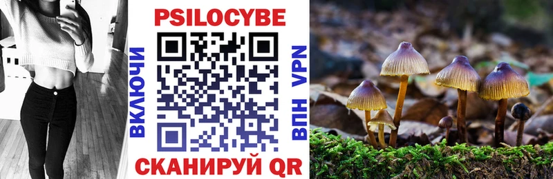 купить наркотик  Ессентуки  Псилоцибиновые грибы ЛСД 